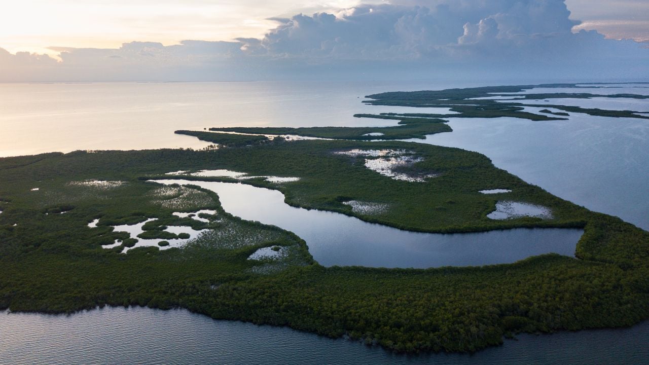 The sun begins to set over mangrove islands on the edge of Turneffe Atoll in Belize. The area supports a wide variety of marine life and mangroves serve as nurseries for fish and invertebrates.