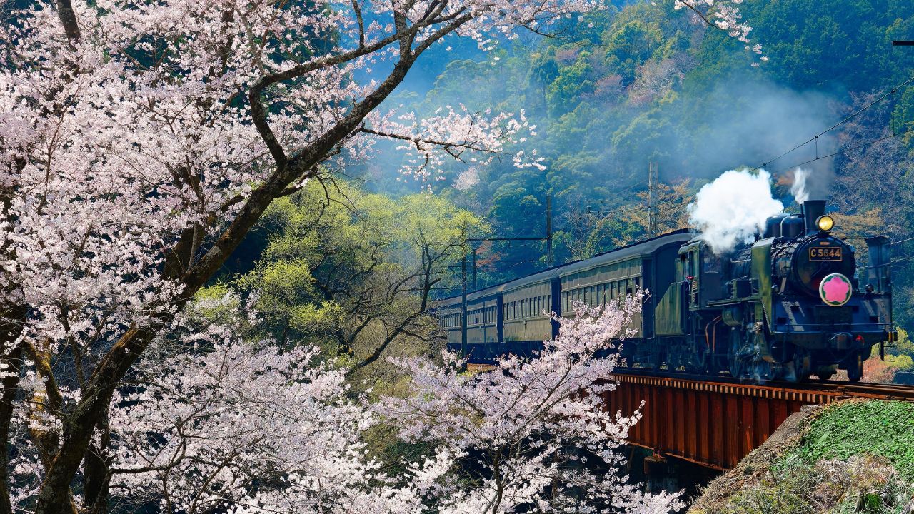 Oigawa Railway, Japan