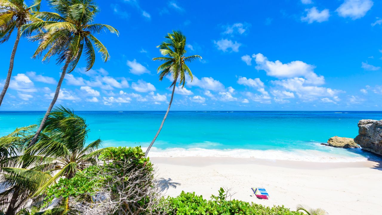 Bottom Bay, Barbados - Paradise beach on the Caribbean island of Barbados. Tropical coast with palms hanging over turquoise sea. Panoramic photo of beautiful landscape.
