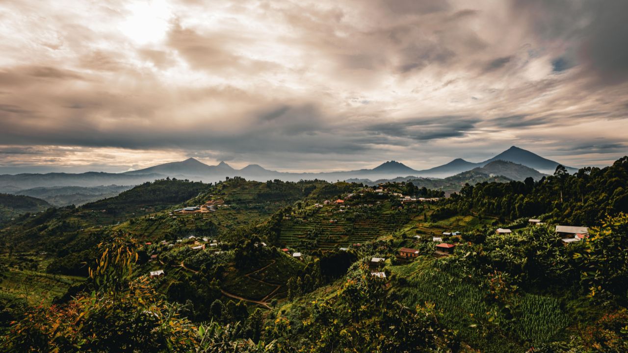 A stunning view of Rwanda's Volcanoes National Park, home to mountain gorillas.
