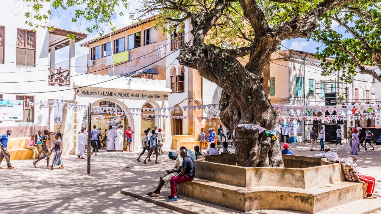 Lamu, Kenya - November 11 2022: Amu Lamu Islands County Traditional Cultural Festivals Swahili Customs Heritages Old Town Street Coastal Region Kenya East Africa Competitions People Dhow Racing Shela