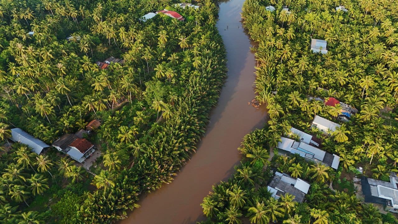 Aerial view of waterways and coconut landscapes in the Mekong Delta, Vietnam