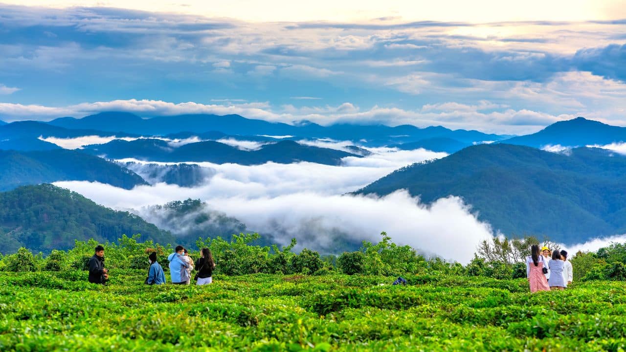 Da lat, Vietnam - July 8th, 2022: Scenery on hillside of tea planted in misty highlands below beautiful valley and giant wind turbines attract tourists to visit the weekend in Da lat, Vietnam