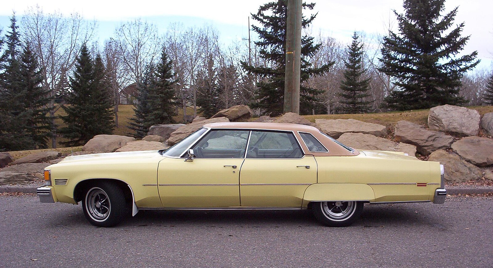 1976 Oldsmobile Ninety-Eight Regency