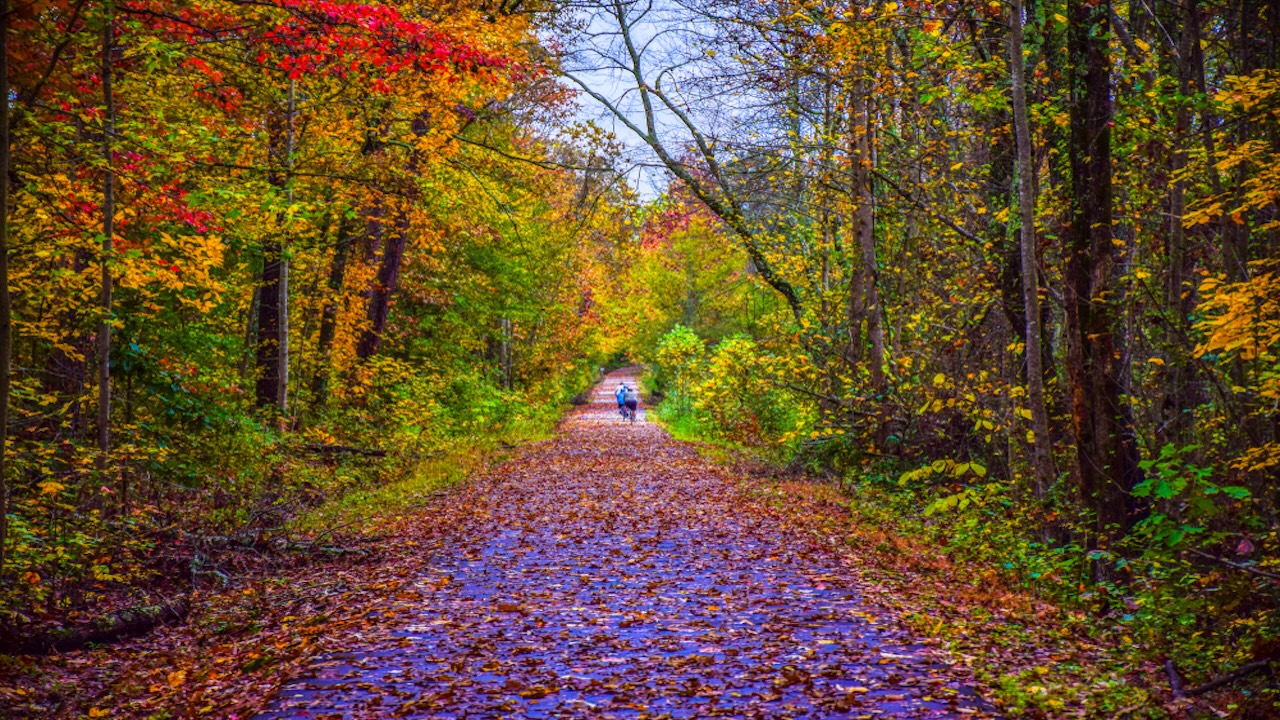 The Swamp Rabbit Trail