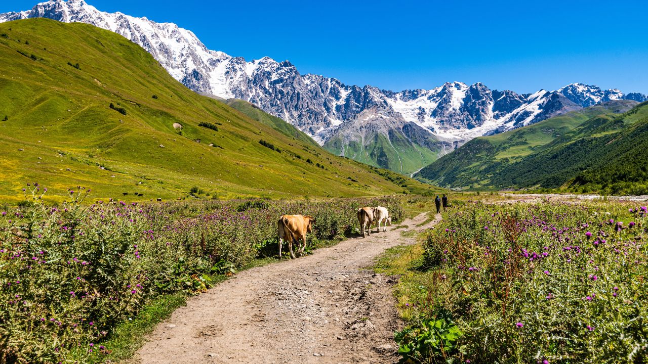 A beautiful shot of Caucasus mountain scenery in the rural countryside of Ushguli Village, Georgia