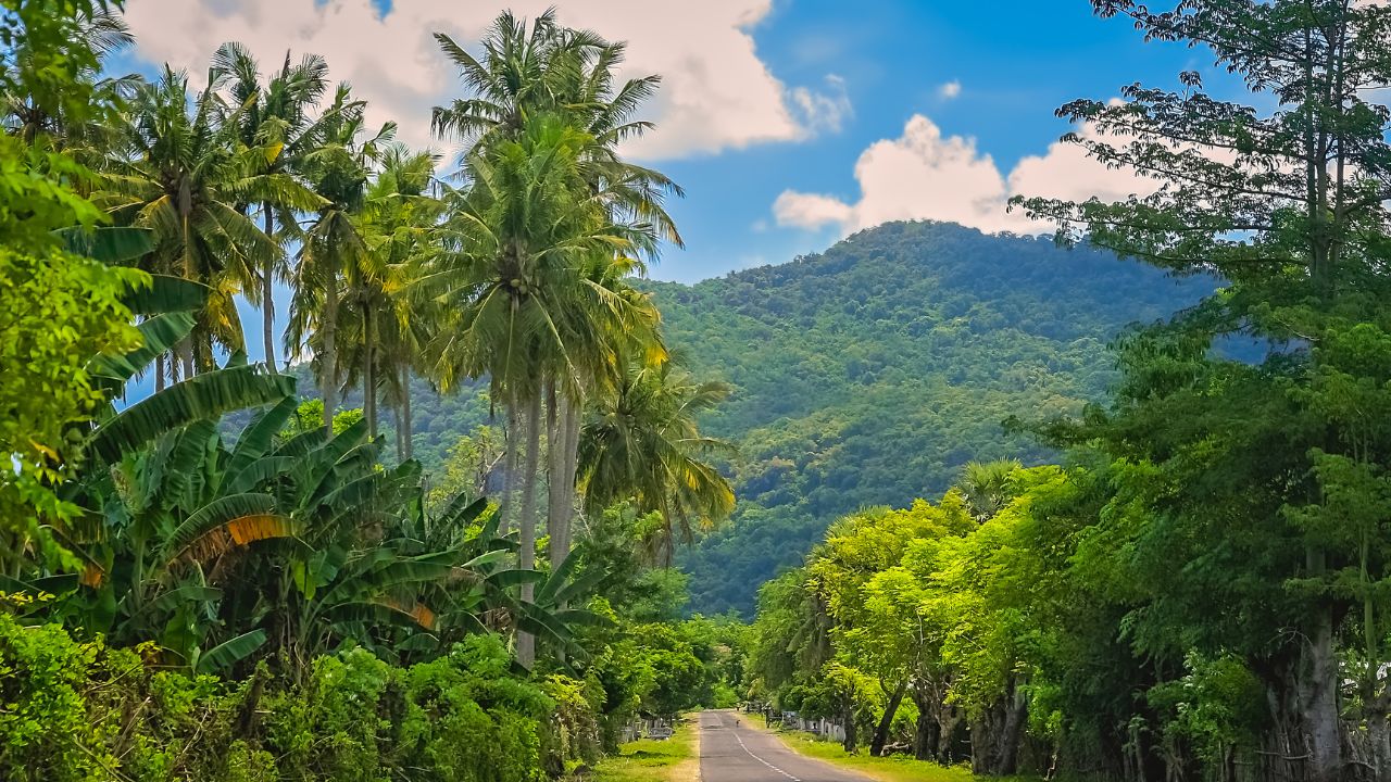 Road through jungle on the Indonesian island of Sumbawa