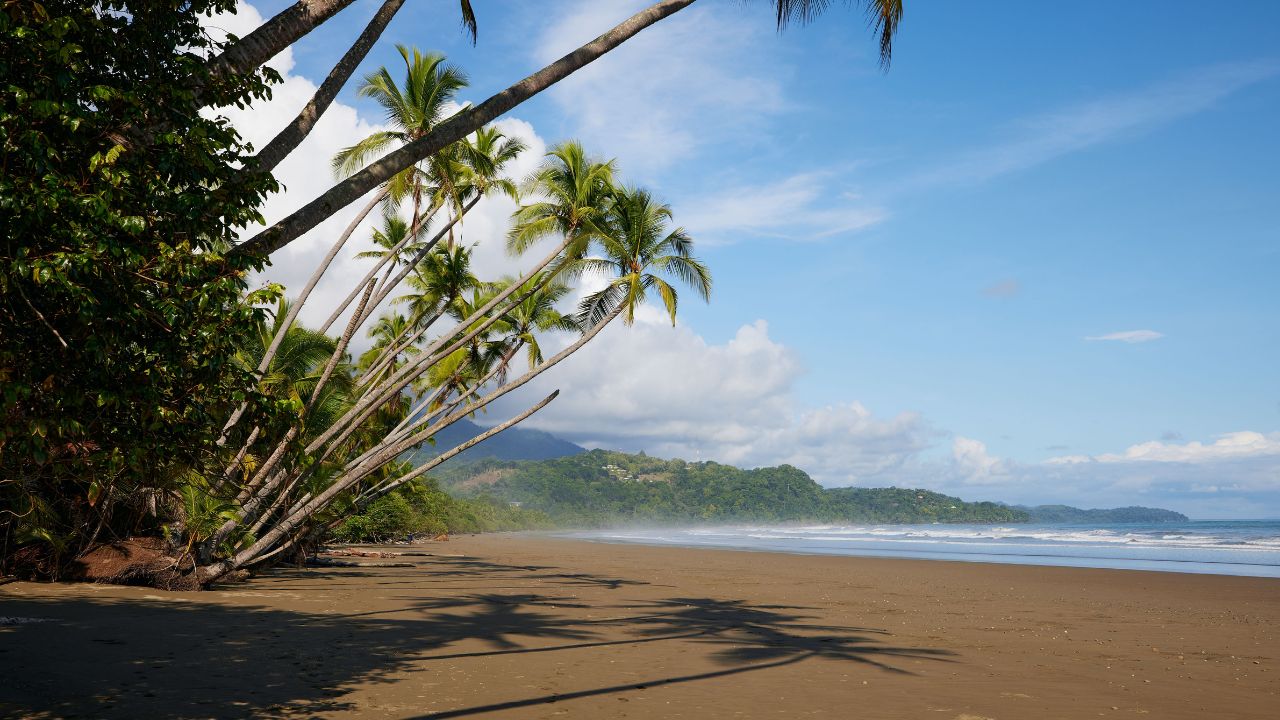 The pacific ocean view in Uvita Costa Rica National park