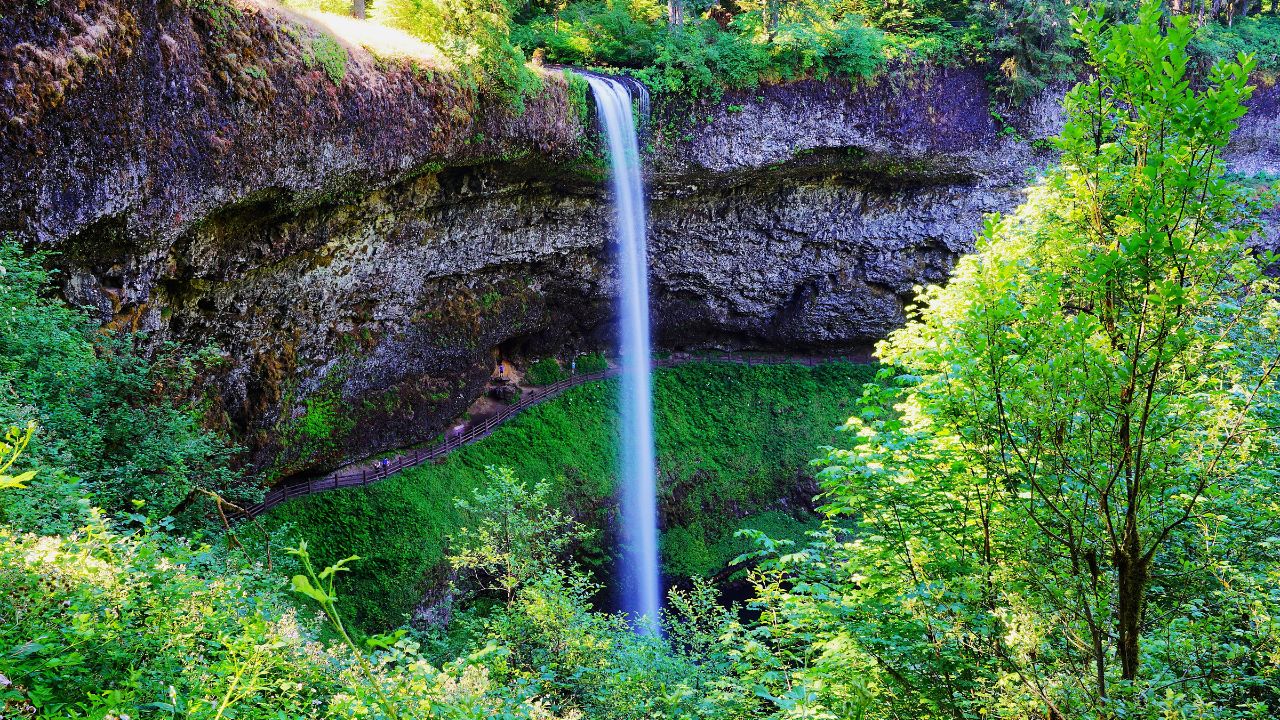 Silver Falls State Park Oregon