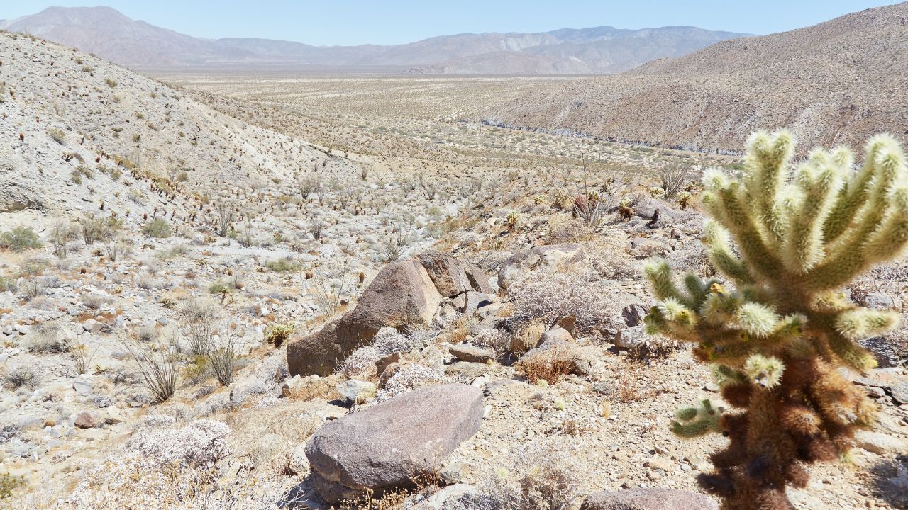 Anza-Borrego Desert State Park is California's largest State Park. It's known for its unique hiking trails and modern sculpture art.