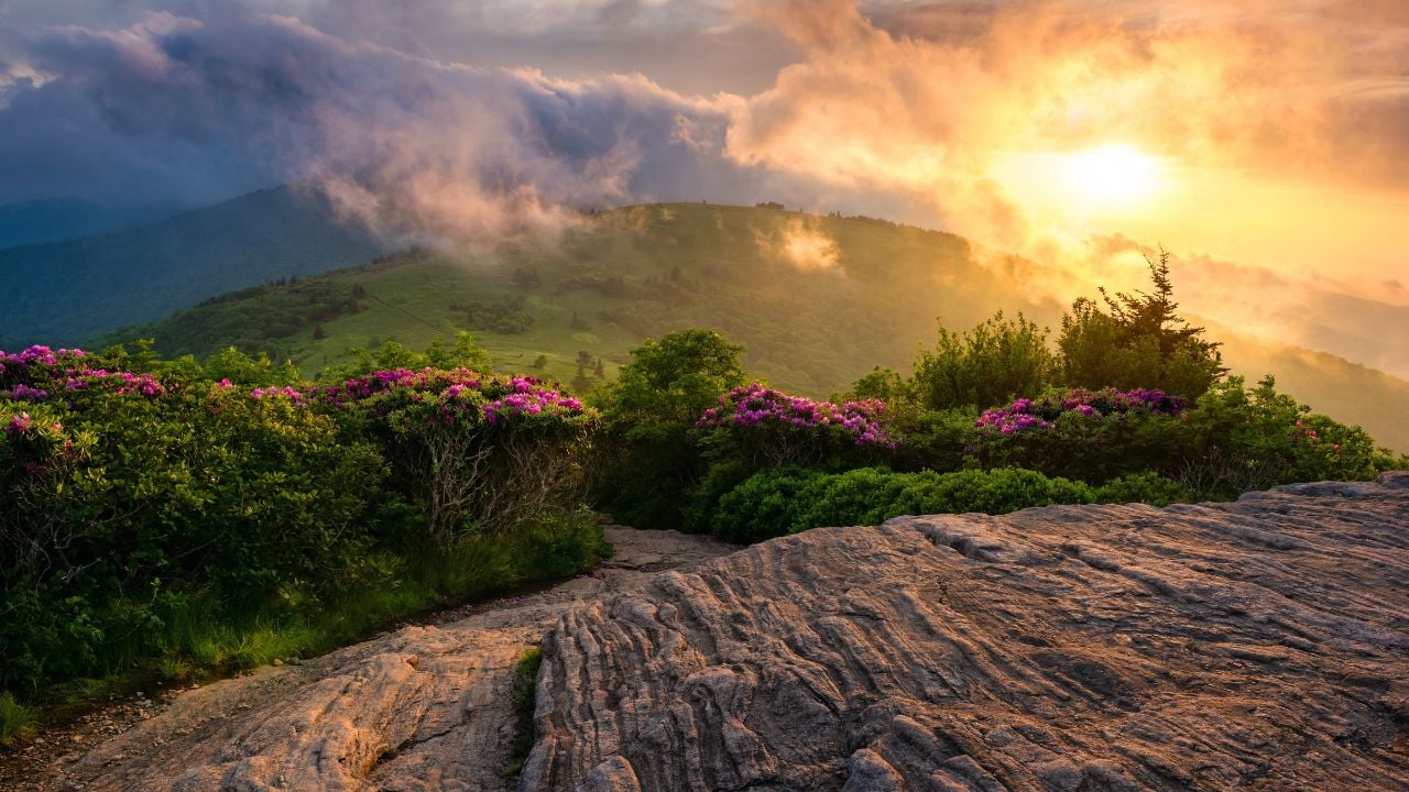 Scenic summer sunset view, Roan Mountain, Tennessee