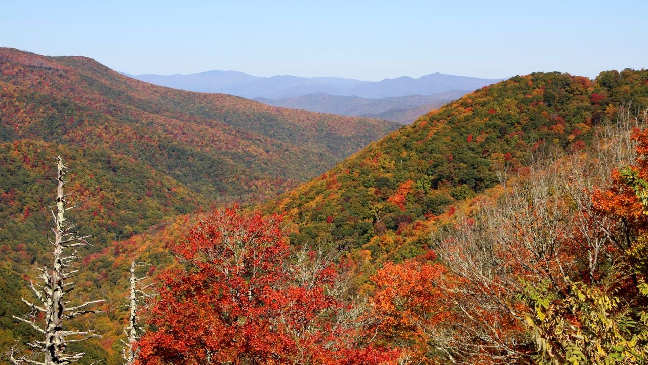 An overlook near Mount Mitchell located in the Black Mountain range of the Blue Ridge Mountains in Western North Carolina.