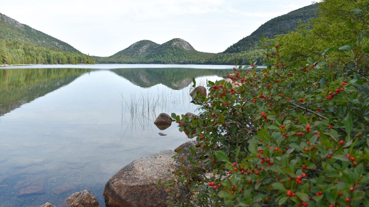 Jordan Pond Path in Acadia National Park
