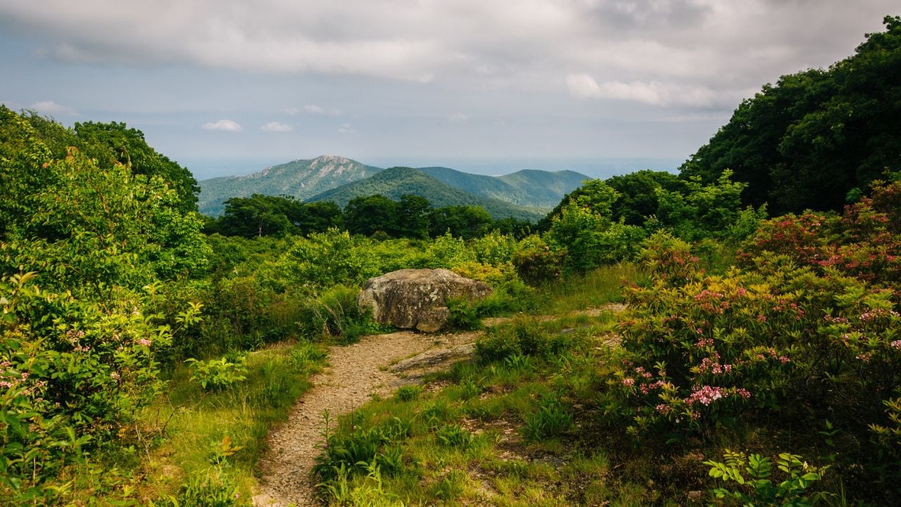 View of Old Rag from Thoroughfare Overlook, on Skyline Drive in Shenandoah National Park, Virginia.