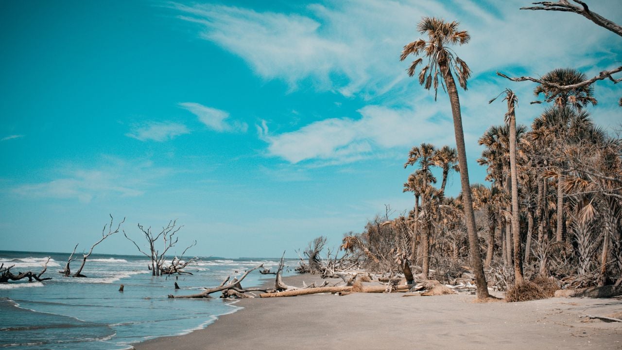 Bulls island Beach, South Carolina