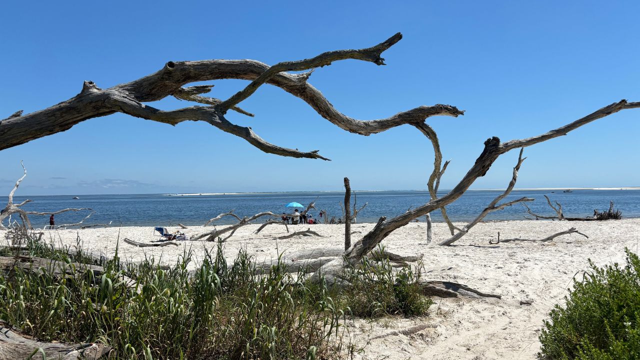 Driftwood Beach at Little Talbot Island