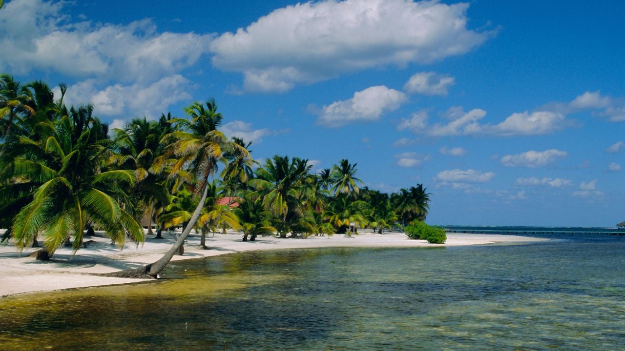 Main dive site in belize, ambergris caye, belize, central america