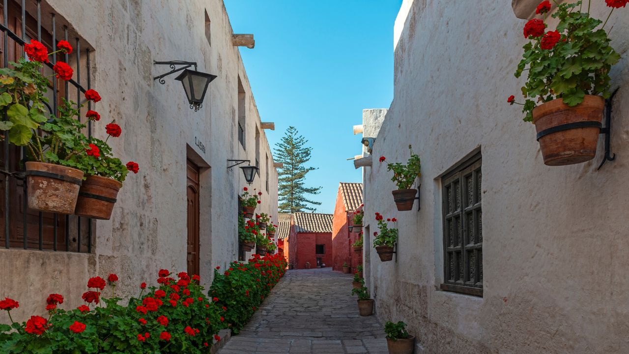 Santa Catalina convent street with red geranium flowers, Arequipa, Peru.