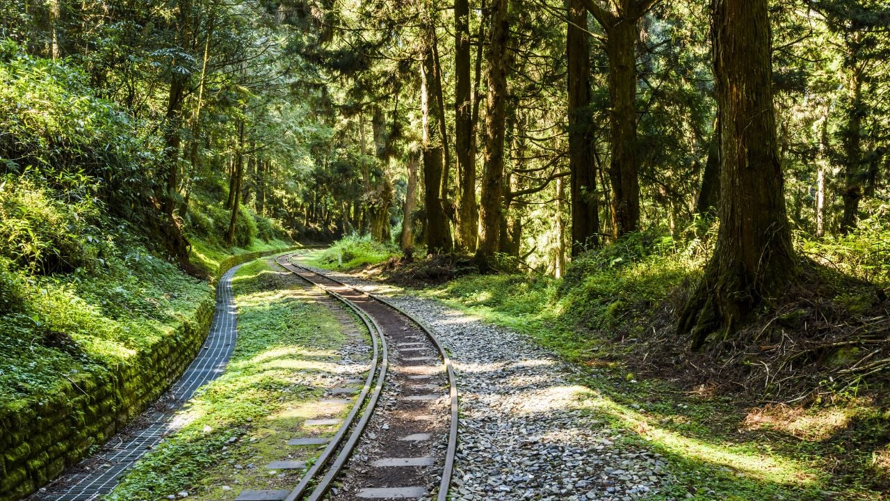 Alishan Forest railway in Taiwan