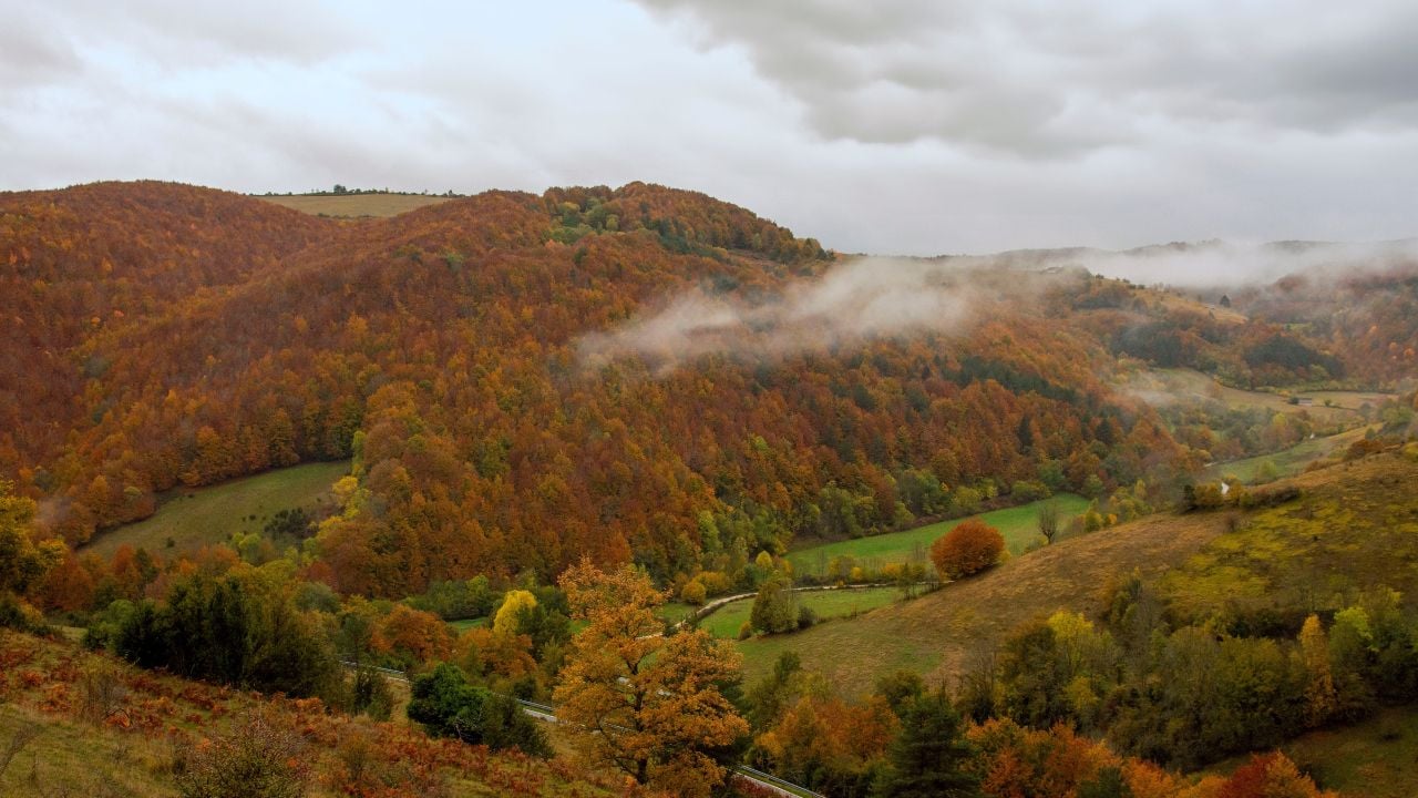 The Irati Forest is an immense mass of beech and fir trees is, in terms of its extension, the second largest in Europe and the first largest in Spain