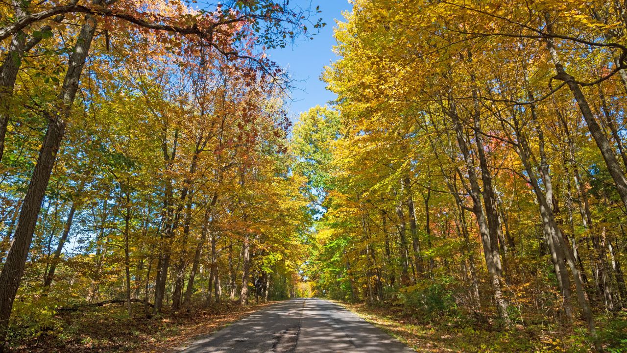 Country Road in the Fall in Cuyahoga Valley National Park in Ohio