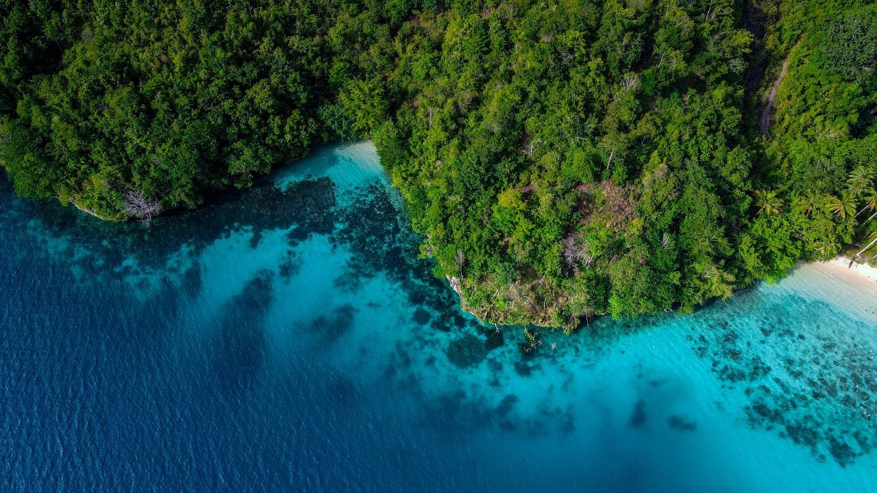 Aerial view of a hidden tropical paradise with pristine white sand, lush greenery, and crystal-clear turquoise waters in Raja Ampat, Indonesia.