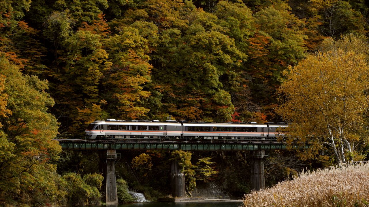 Limited express train of Japan, autumn