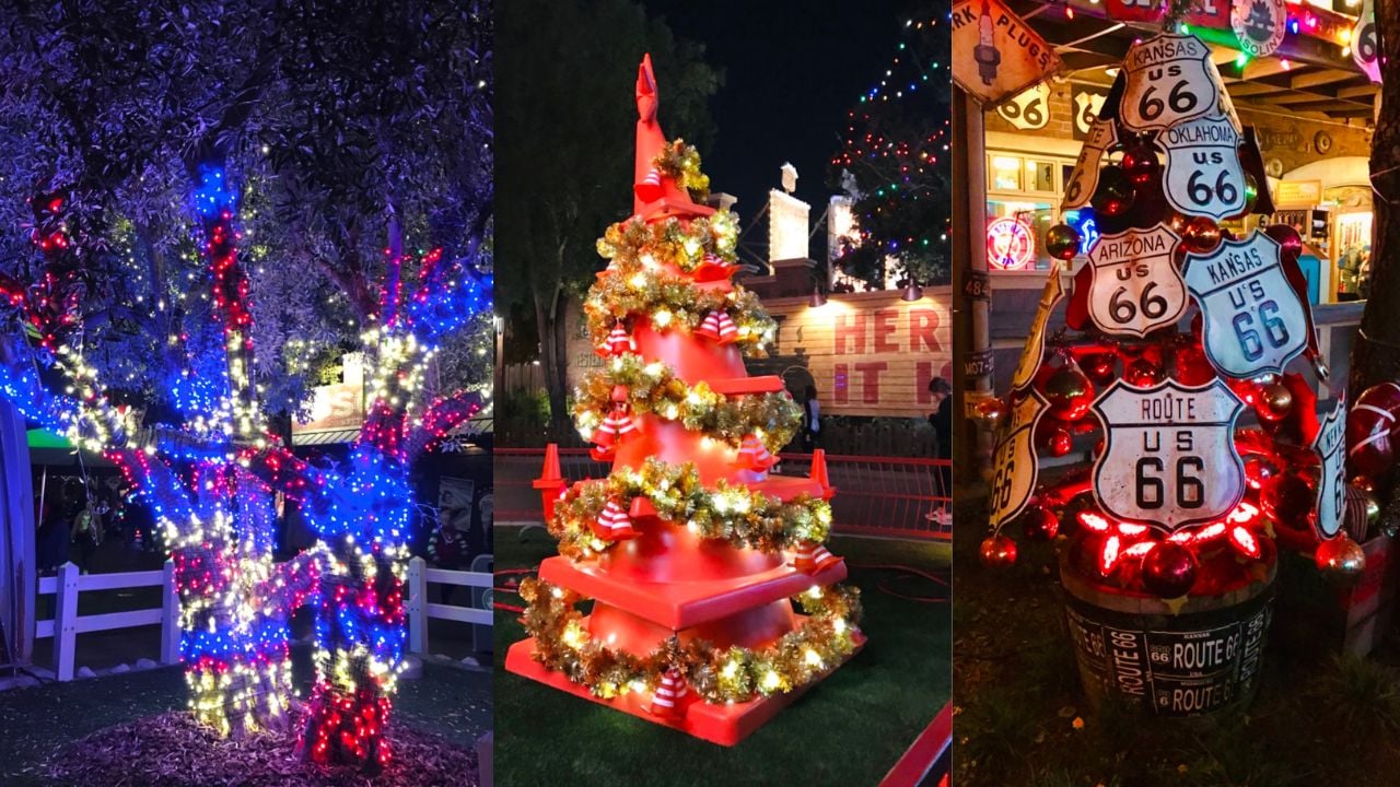 DCA Cars Land Holiday