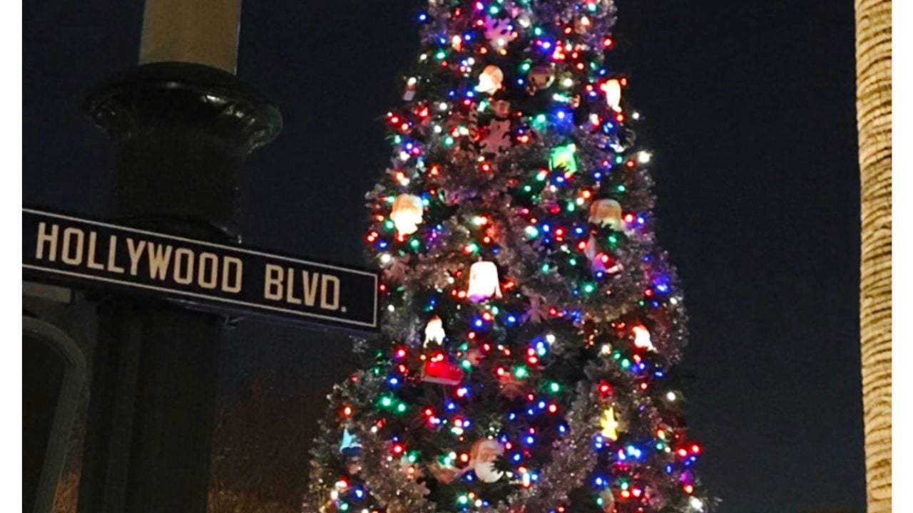 DCA Christmas Tree