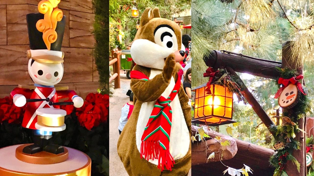 DCA Holiday Details