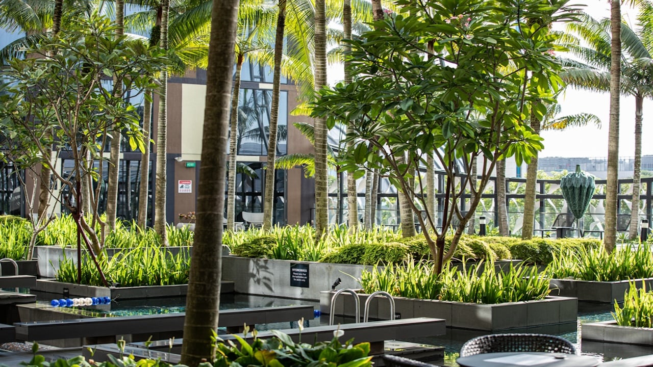 Pool Deck Changi