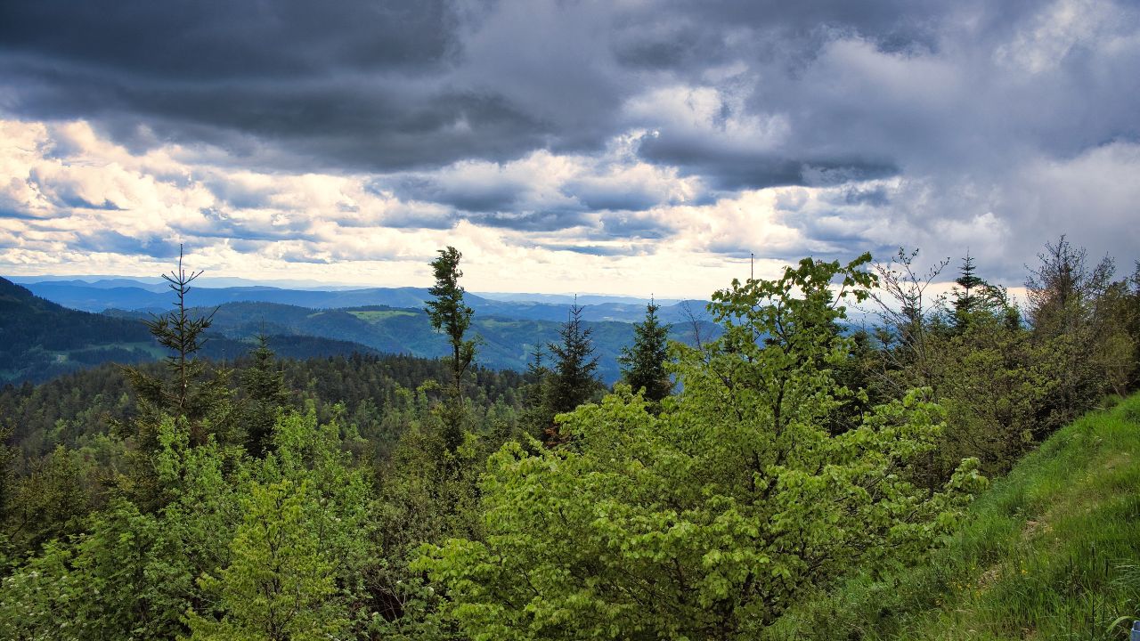 A scenic view of Black forest in Germany under a cloudy sky