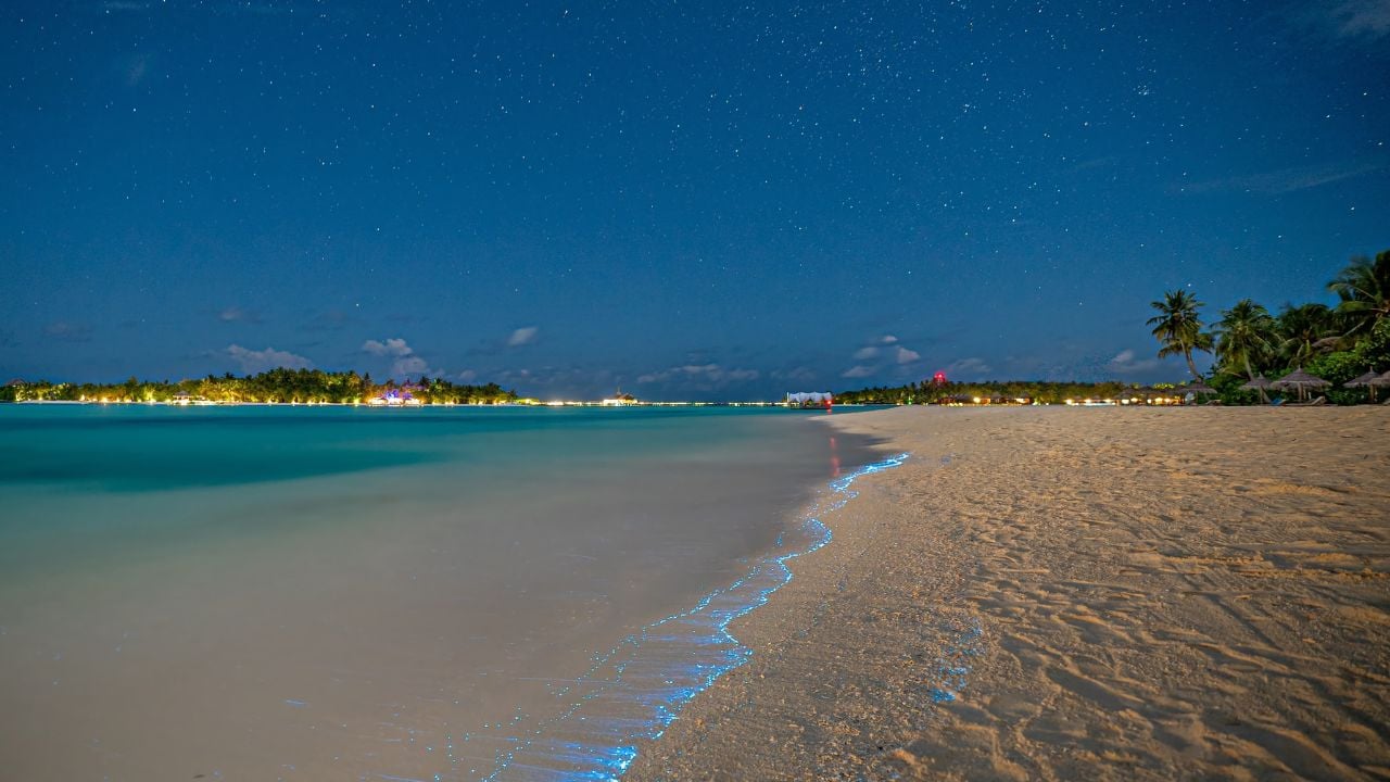 Bio luminescence. Illumination of plankton at Maldives. Many bright particles at the beach. Glowing beach
