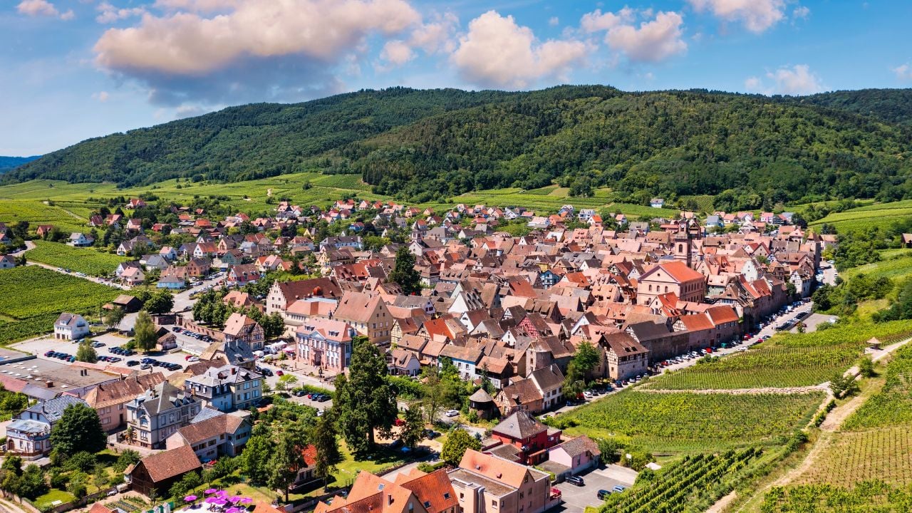 View of Riquewihr village and vineyards on Alsatian Wine Route, France. Most beautiful villages of France, Riquewihr in Alsace, famous "vine rote". Colorful town of Riquewihr, Alsace, France.
