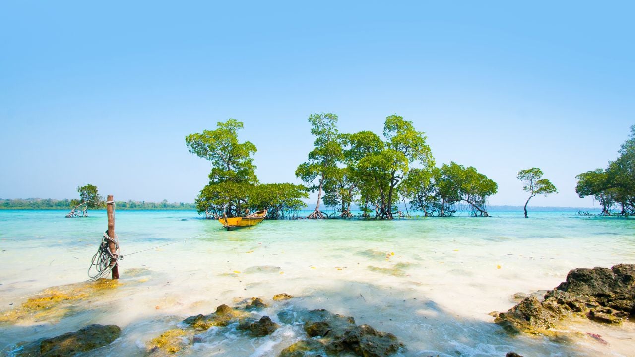 Stunning view of Havelock Island Beach, beautiful tree in the sea water, Andaman & Nicobar Islands.