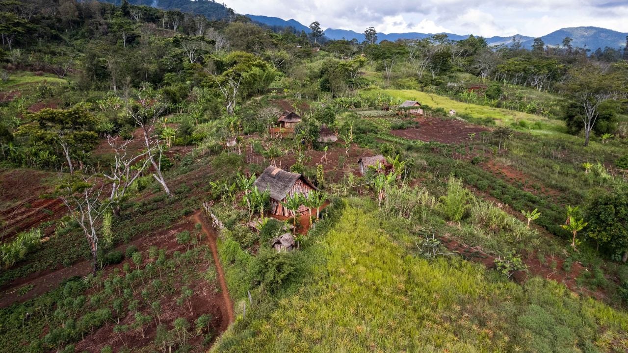 Village huts surrounded by greenery in Goroka, Papua New Guinea.