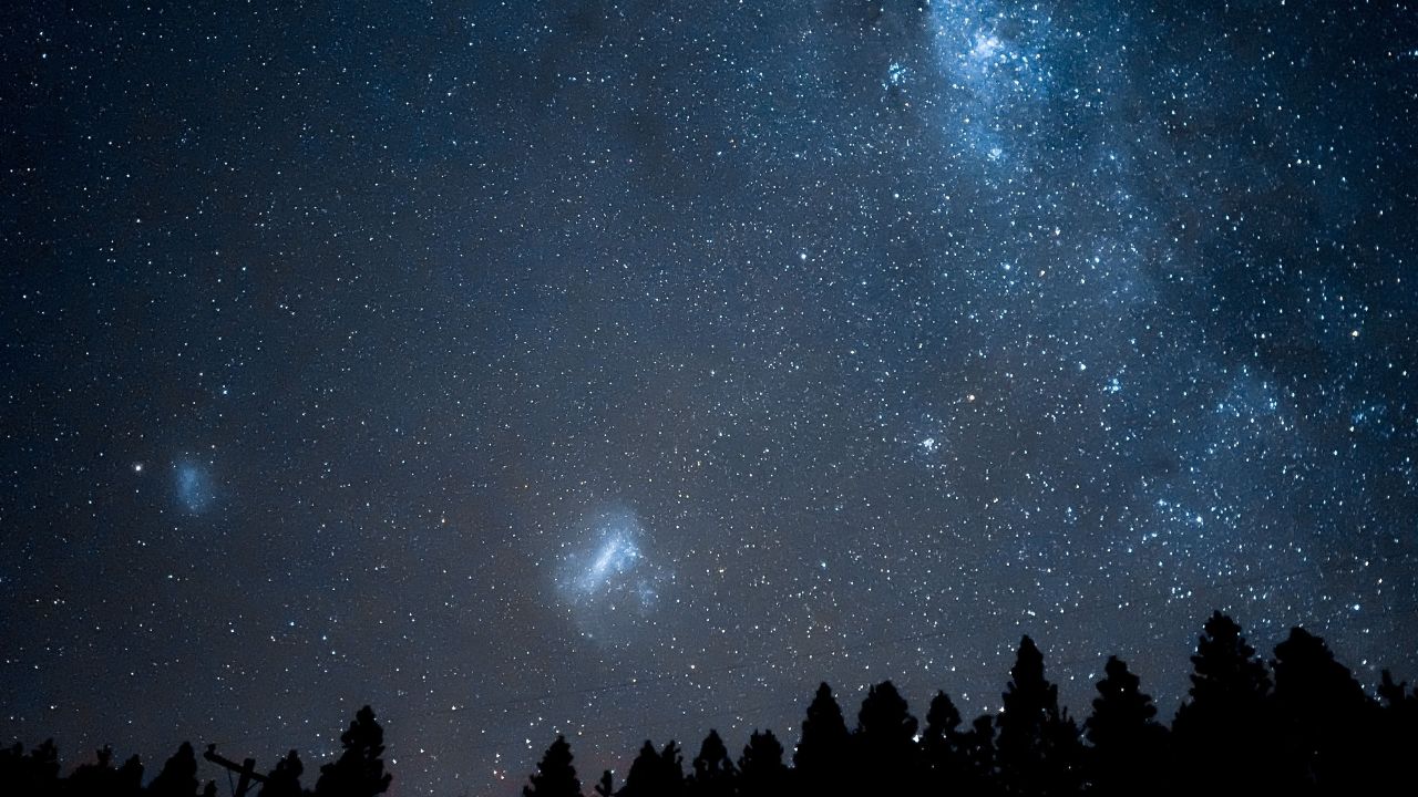 A scenic view of Magellanic clouds and the tail of Milkyway over the forest