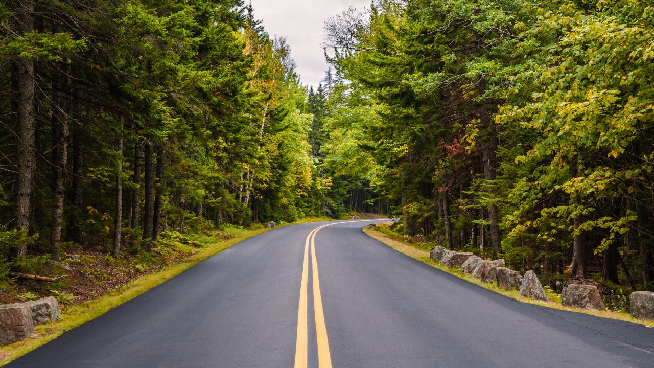 Road through Acadia National Park, Maine, New England, USA, North America