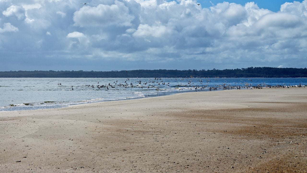 Fernandina Beach (Inland Areas), Florida