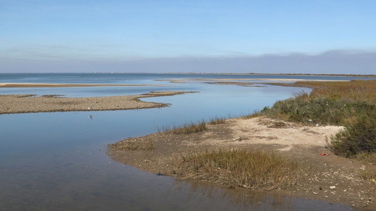 Matagorda Bay, Oyster Lake, Texas