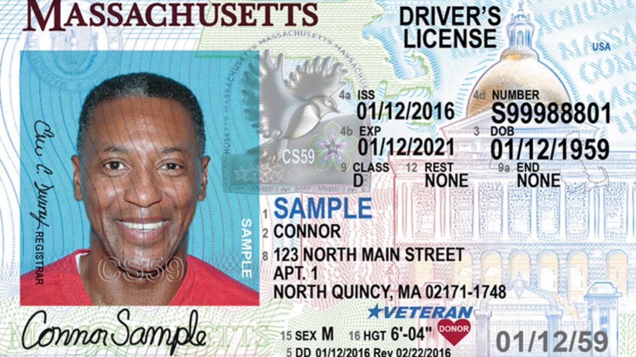 Massachusetts drivers' license sample.