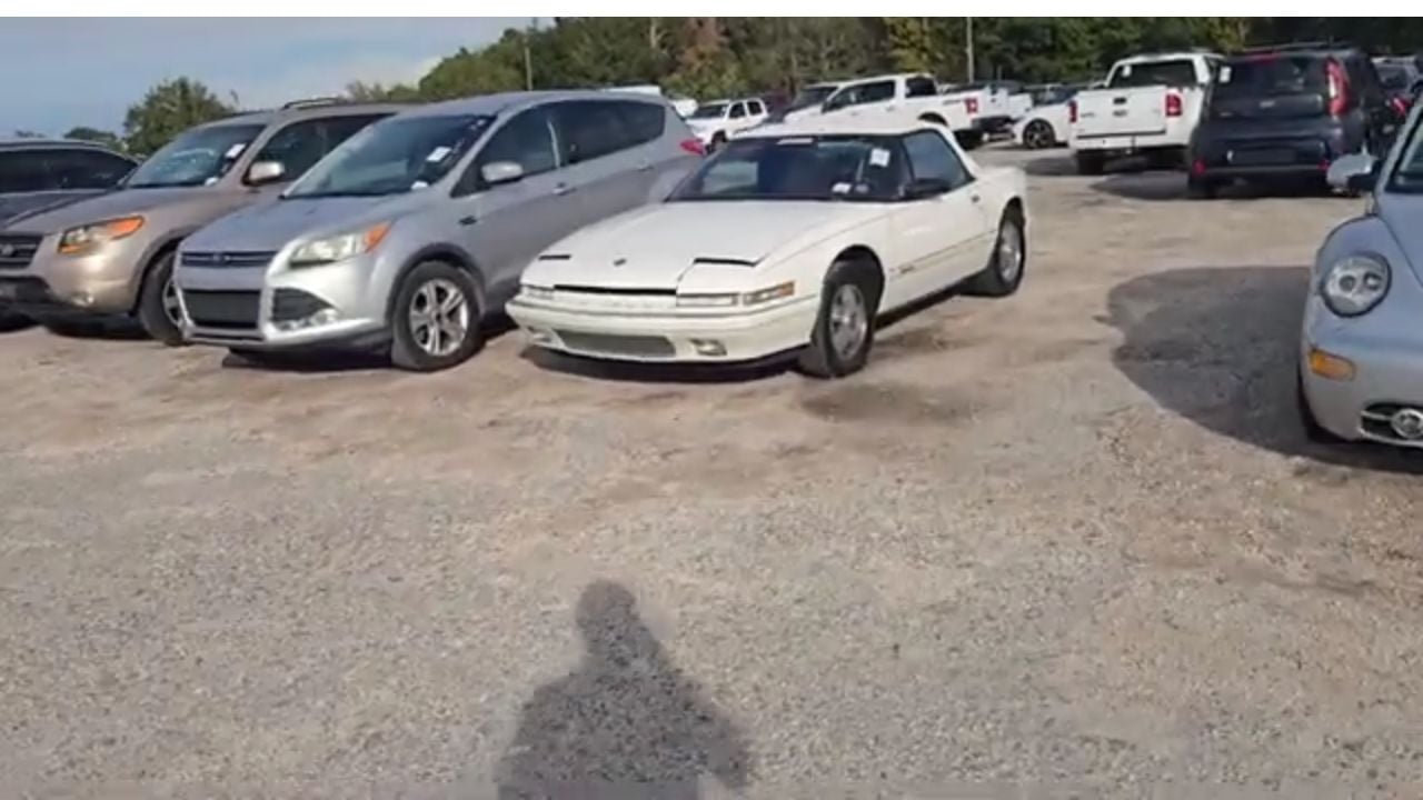 Auction cars on the lot.