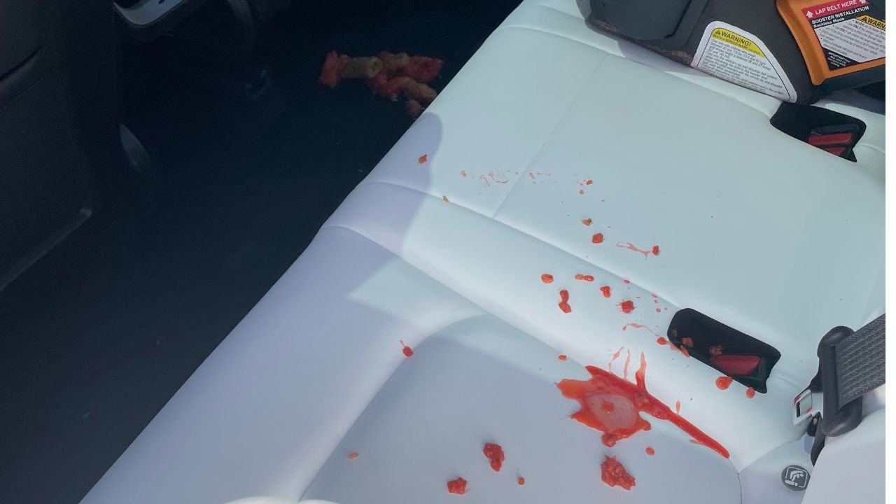 stained white Tesla seat.