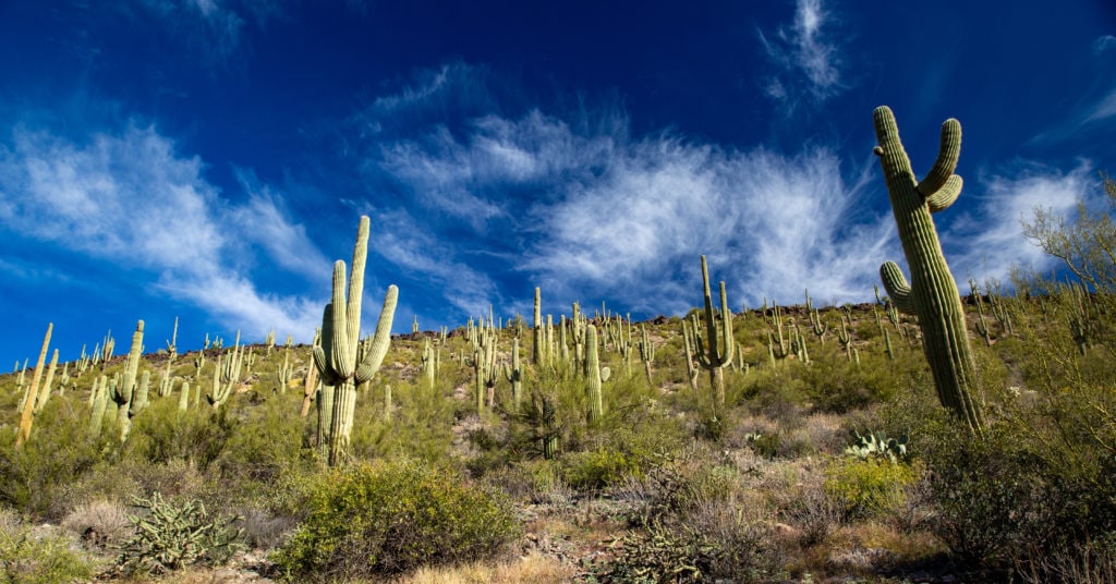 black mesa superstition mountains hiking trail phoenix arizona