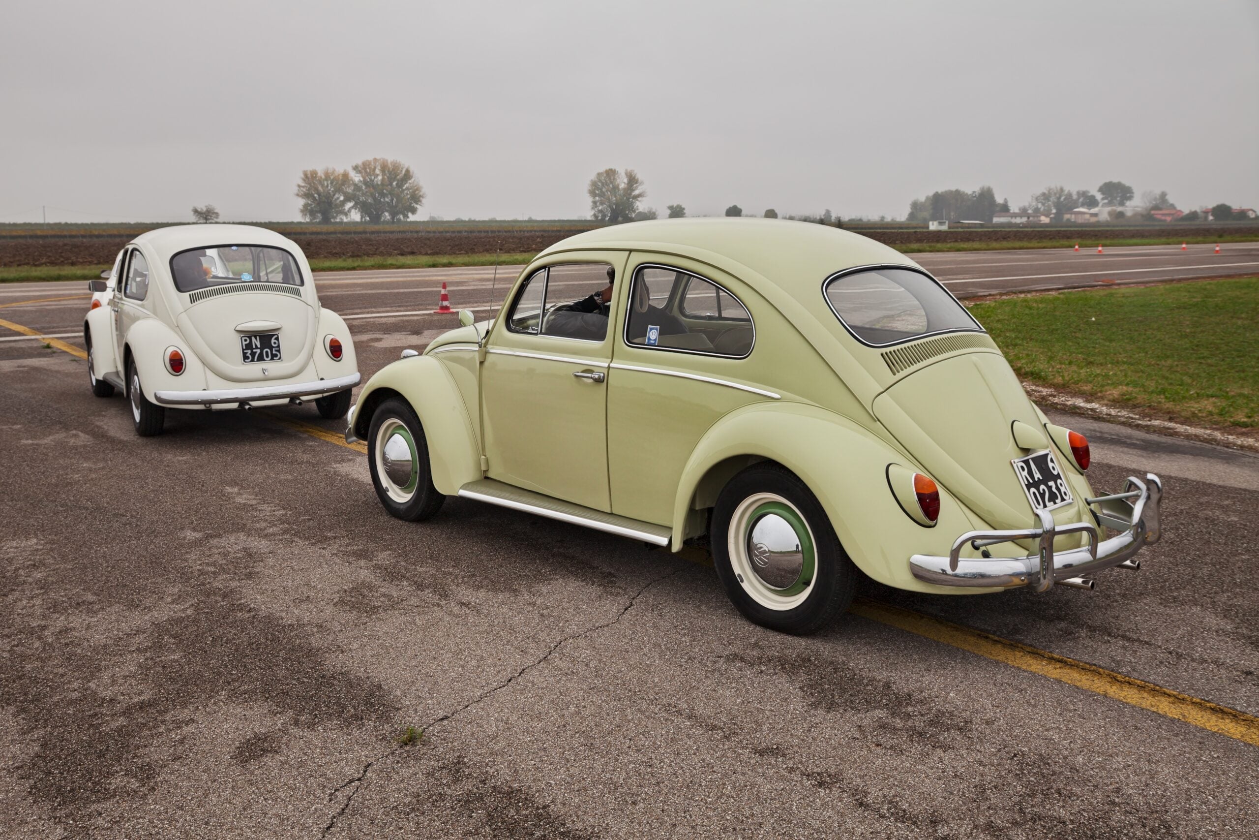 1963 beetles