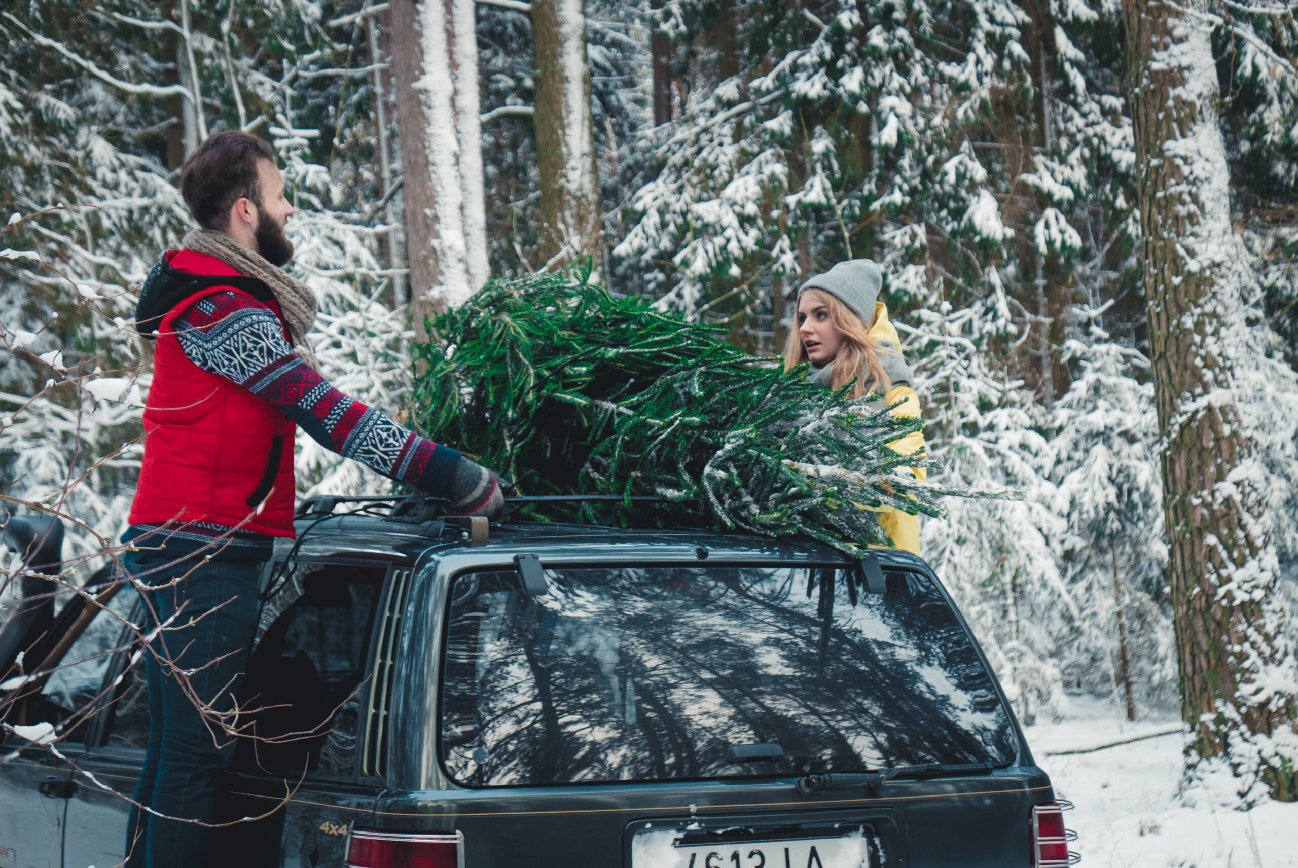 couple putting xmas tree on car