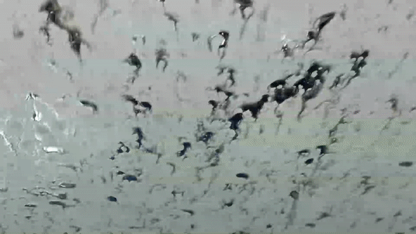 carwash