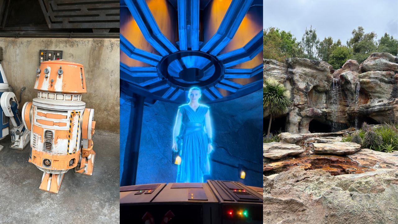 Disneyland Rise and the Resistance