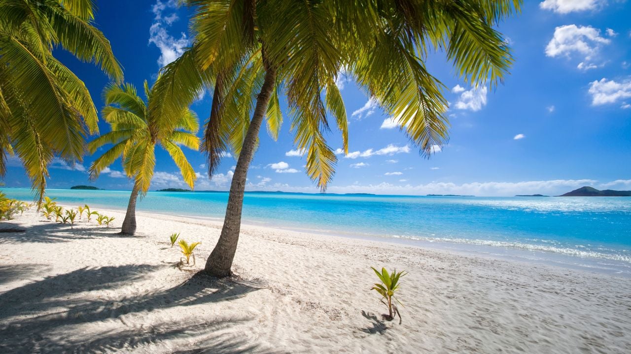 Tropical beach in Aitutaki Lagoon in the Cook Islands in the South Pacific Ocean.