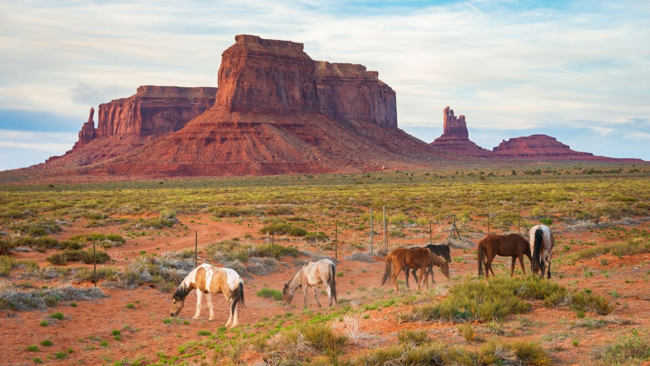Monument Valley Navajo Tribal Park